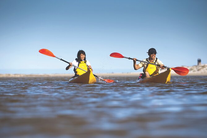 Kangaroo Island Self-Guided Kayaking On The Harriet River - thumb 0