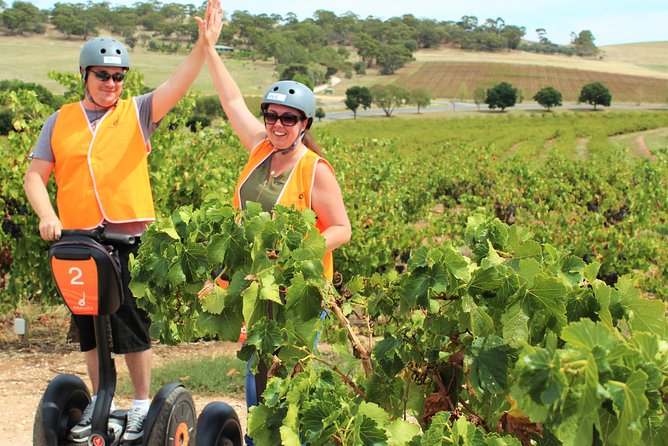 Segway Tour At Seppeltsfield Winery - thumb 5
