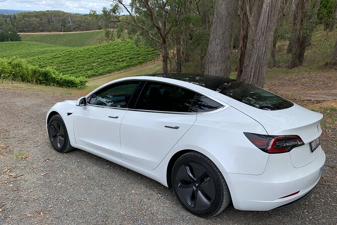 Adelaide Airport Arrival Transfer OR Tour In A Tesla Model3 EV - thumb 1