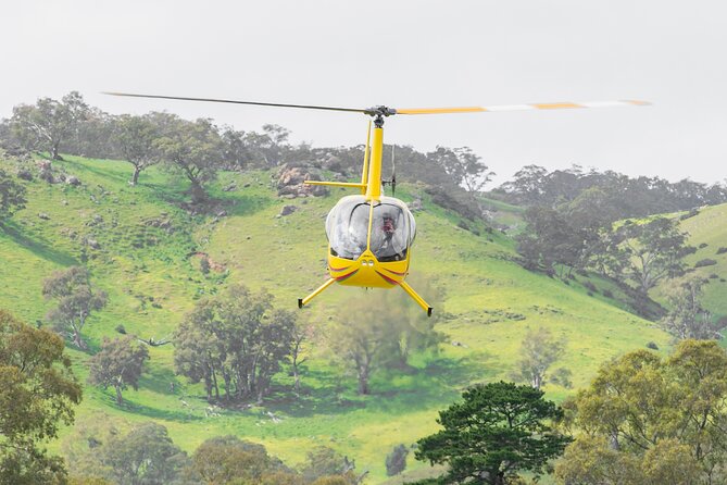 Barossa Valley Deluxe: 30-Minute Helicopter Flight - thumb 2