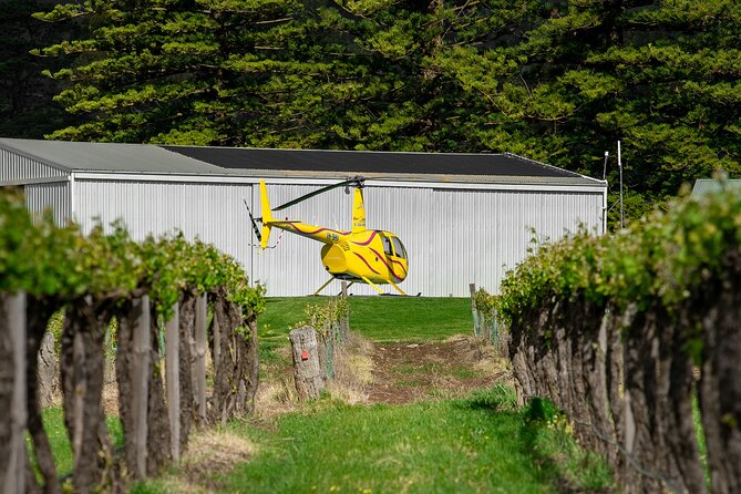 Barossa Valley Deluxe: 30-Minute Helicopter Flight - thumb 3