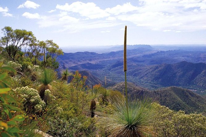 Flinders Ranges & Outback 5 Day Small Group 4WD Eco Tour - thumb 1