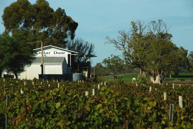 Private Langhorne Creek Wine Region Tour From Adelaide - thumb 15