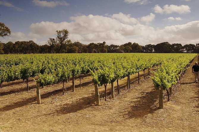 Private Langhorne Creek Wine Region Tour from Adelaide - Tourism Adelaide
