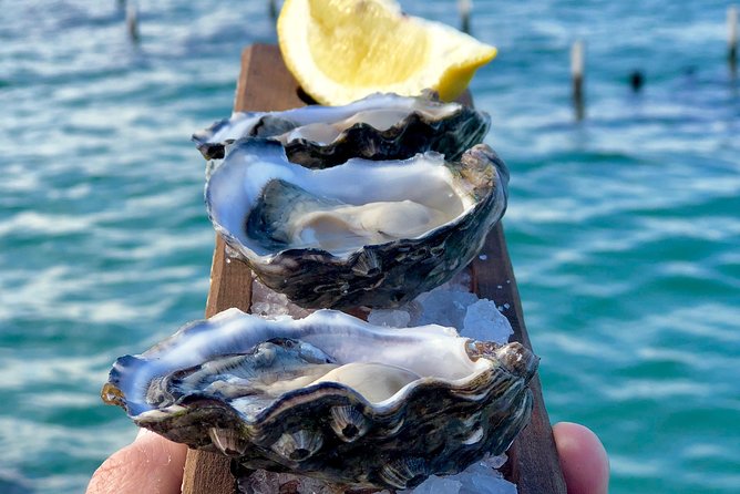 Coffin Bay Oysters, Ocean & Nature Tour - thumb 0