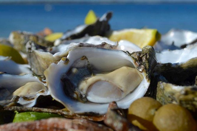 Coffin Bay Oysters, Ocean & Nature Tour - thumb 8
