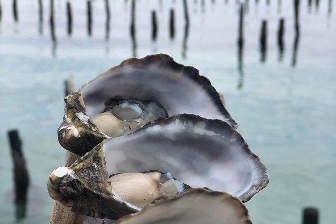 Coffin Bay Oysters, Ocean & Nature Tour - thumb 6
