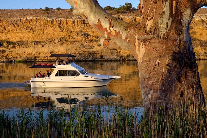 Small-Group Murray River Cruise from Waikerie - Accommodation Adelaide