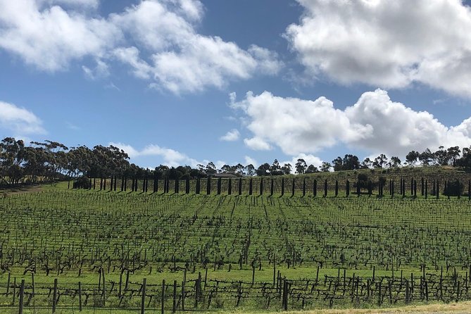 Intimate Wine Experience - Adelaide Hills - thumb 10