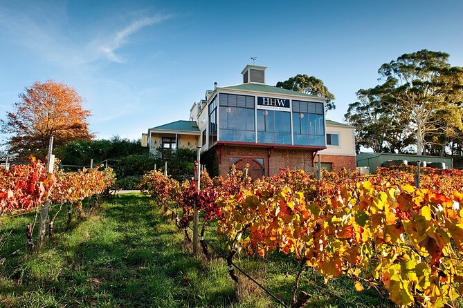 Adelaide Hills Food, Wine, Cheese, & Chocolate - Private Day Tour - thumb 7
