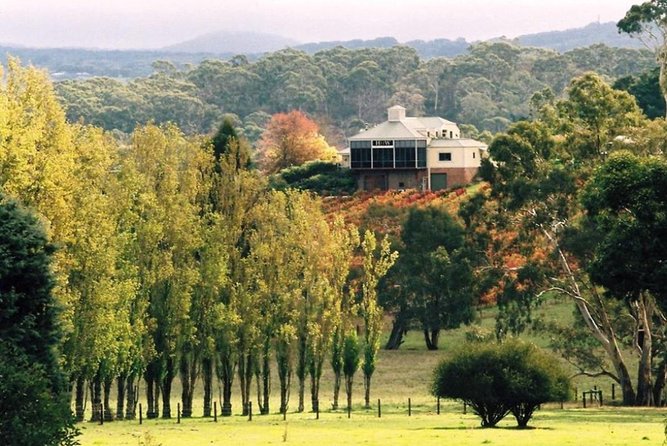 Adelaide Hills Full Day Winery Tour With Tastings - thumb 5