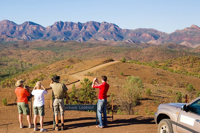Half-Day Tour Into Ikara-Flinders Ranges National Park - thumb 5