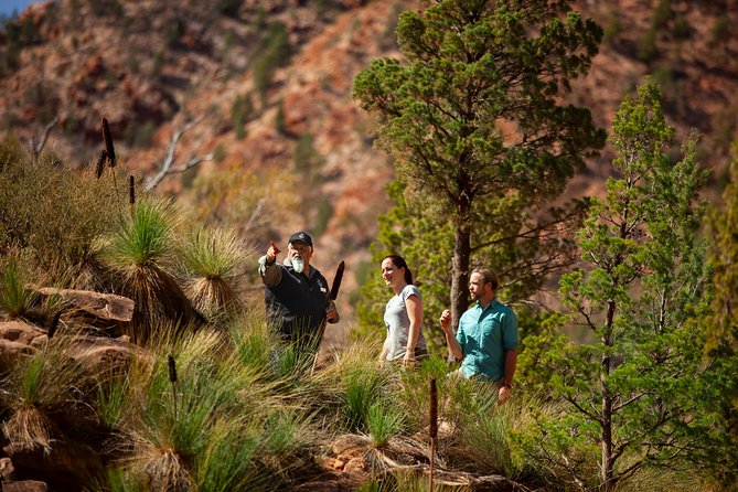 Half-Day Tour Into Ikara-Flinders Ranges National Park - thumb 4