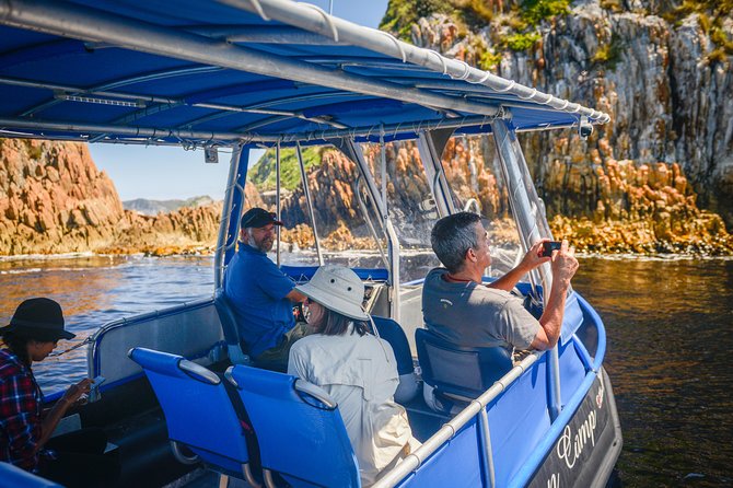 Southwest Tasmania Wilderness Experience: Fly Cruise And Walk Including Lunch - thumb 11