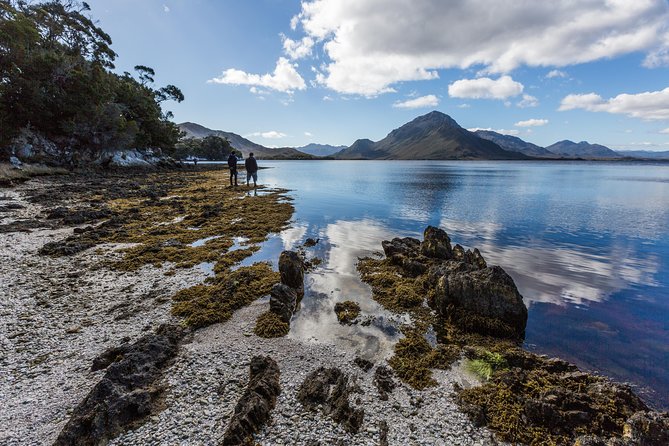 Southwest Tasmania Wilderness Experience: Fly Cruise And Walk Including Lunch - thumb 10