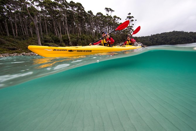 Tasman Peninsula Full Day Kayaking Tour - thumb 5