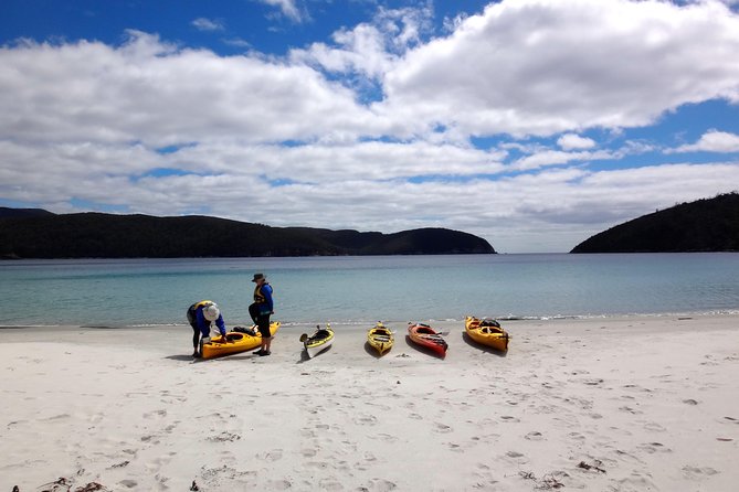 Tasman Peninsula Full Day Kayaking Tour - thumb 3