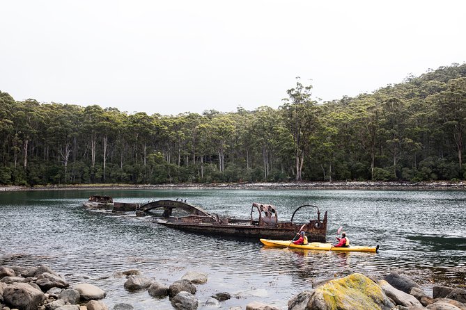 Tasman Peninsula Full Day Kayaking Tour - thumb 2
