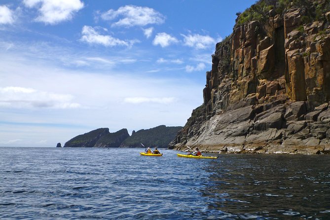 Tasman Peninsula Full Day Kayaking Tour - thumb 4
