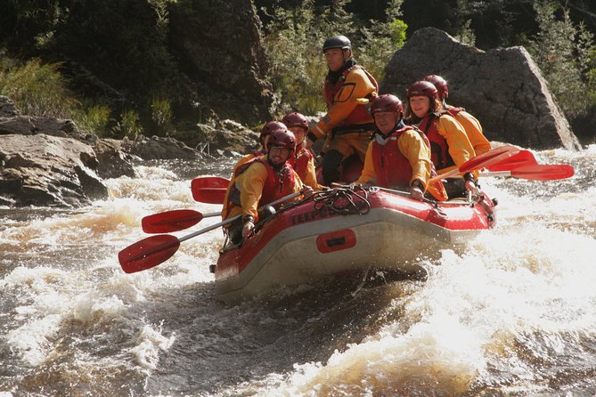 King River Whitewater Rafting Trip Including The Westcoast Wilderness Railway - thumb 5
