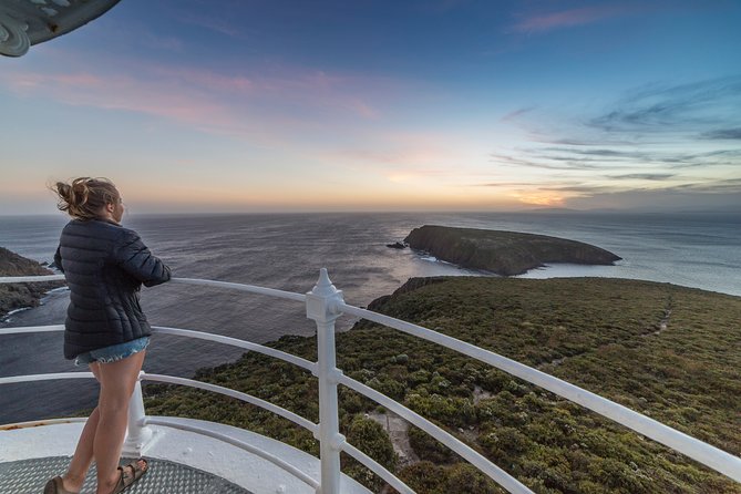 Fully Guided Bruny Island Lighthouse Tour - thumb 4