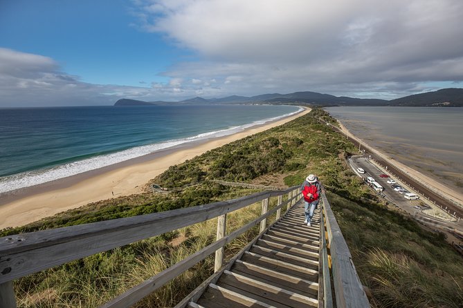 Fully Guided Bruny Island Lighthouse Tour - thumb 2