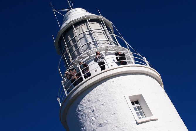 Fully Guided Bruny Island Lighthouse Tour - thumb 1