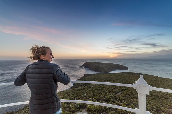 Bruny Island Sunset Lighthouse Tour - Tourism TAS