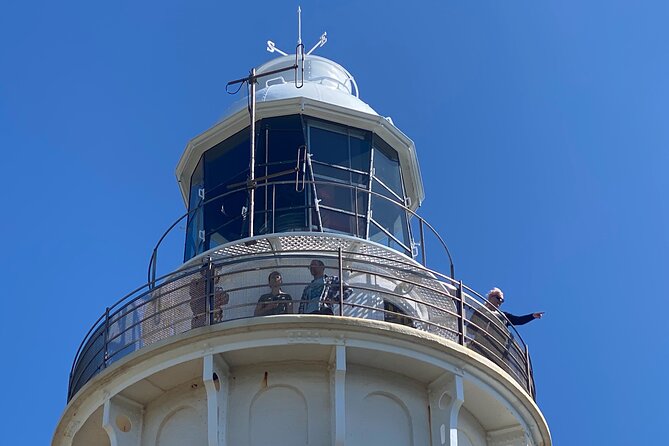 Table Cape Lighthouse Tours - thumb 12