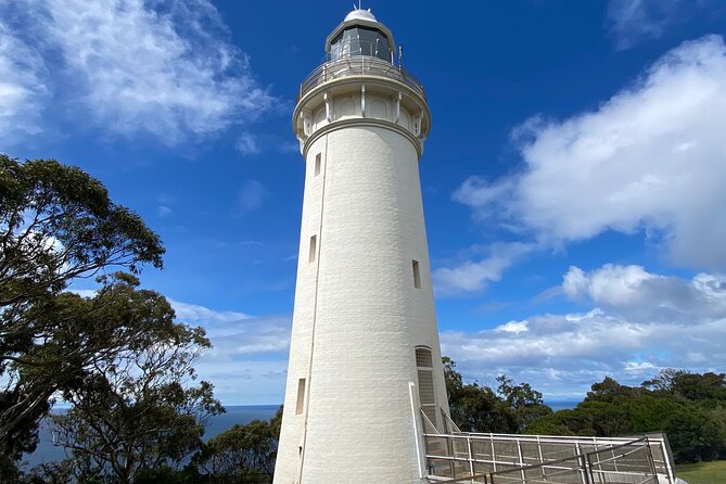 Table Cape Lighthouse Tours - thumb 4