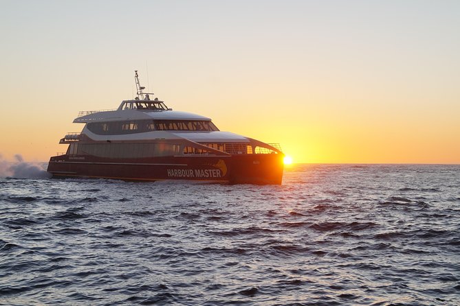 Afternoon Gordon River Dinner Cruise - departing 3pm - Accommodation Noosa