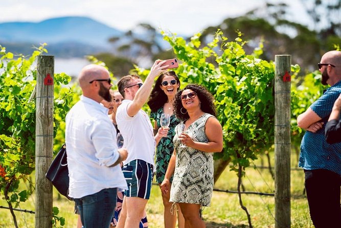 Hobart: Highlights Of Tasmanian Wine Full Day Tour - thumb 3