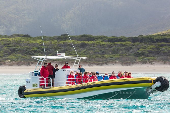 Wilsons Promontory Wilderness Cruise From Tidal River - thumb 2