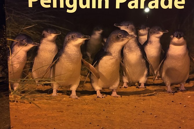 Private Full-Day Phillip Island And Penguins Tour From Melbourne - thumb 2