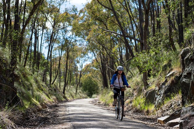 Self-Guided Gourmet Culinary Cycling Day Tour From Beechworth - thumb 2