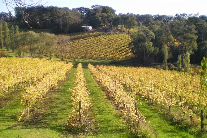 Macedon Ranges Winery Tour From Melbourne - thumb 1