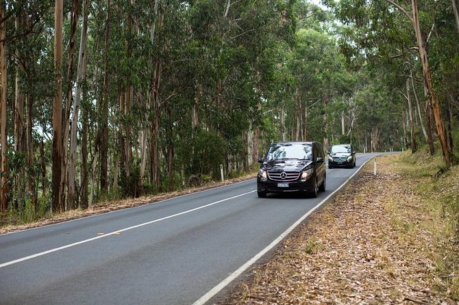 Melbourne To Adelaide Via Great Ocean Road Private Luxury Tour (2.5 Day/2 Night) - thumb 2