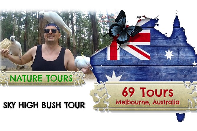 Melbourne Sky High Bush Tour - Accommodation Mt Buller