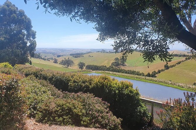 Foodie, Farm Gate & Wine Trail - Gourmet Gippsland From Melbourne - thumb 15