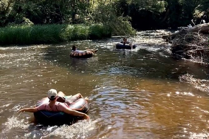 Watertube Experience In Yarra River - thumb 8