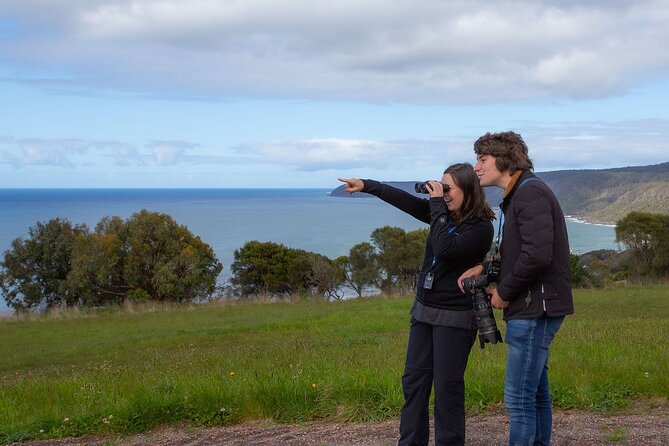 Walk With Wildlife: Guided Tour In Great Ocean Road - thumb 5