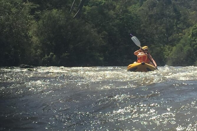 Yarra River Half-Day Rafting Experience - thumb 5