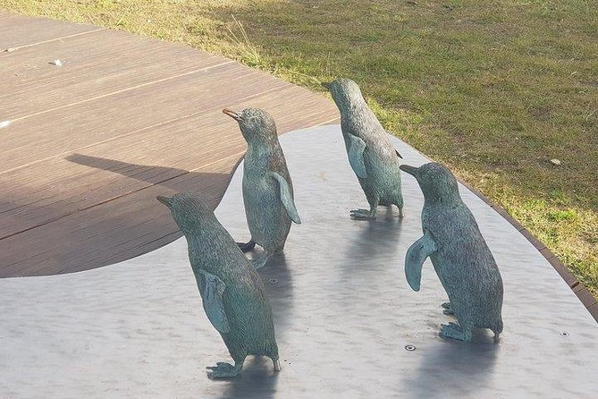 Phillip Island Penguin And Wildlife Tour - thumb 14