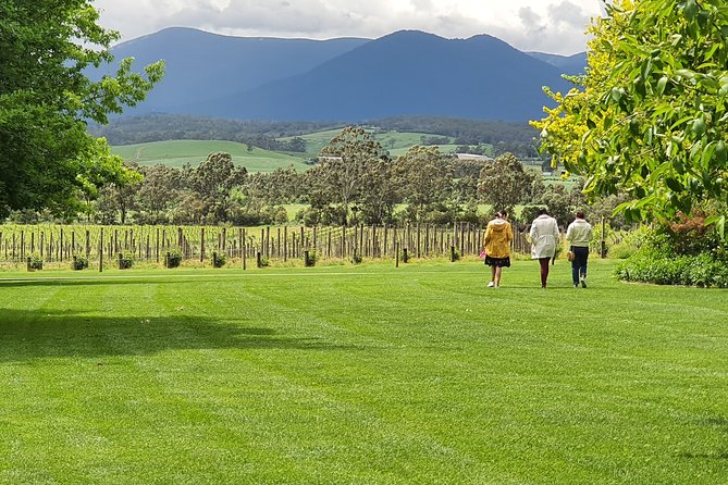Yarra Valley Wine Tasting Day Tour From Melbourne - thumb 6