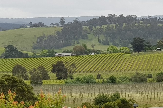 Yarra Valley Wine Tasting Day Tour From Melbourne - thumb 0