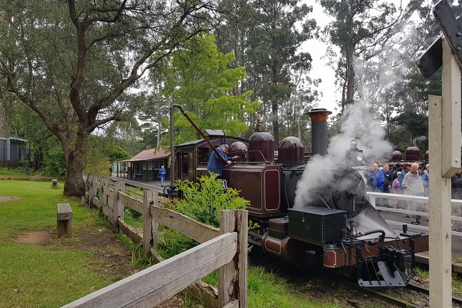 Day Tour Of Yarra Valley Puffing Billy And Rayners Orchard - thumb 14