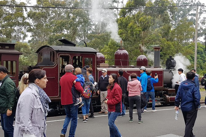 Day Tour Of Yarra Valley Puffing Billy And Rayners Orchard - thumb 4