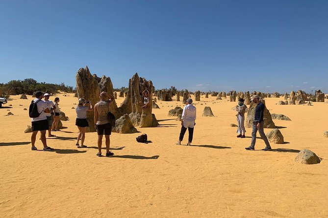 The Pinnacles, Yanchep National Park, Crystal Cave, And Moore River Tour - thumb 5