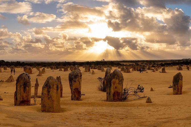 Pinnacle Desert Sunset And Night-time Stargazing Tour From Perth - thumb 4