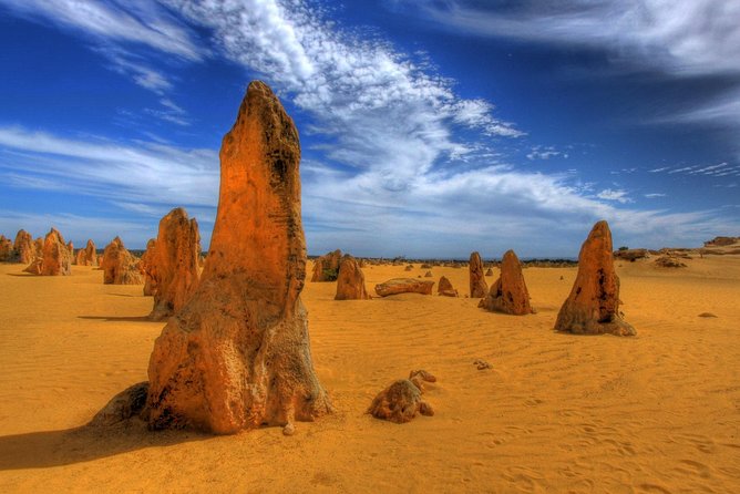 Pinnacles Desert, New Norcia And Wildflowers Day Tour From Perth - thumb 4